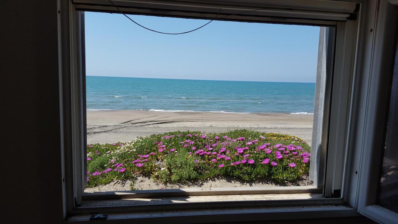 Casina Sulla Sabbia Apartment Torvaianica Luaran gambar
